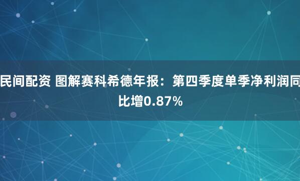 民间配资 图解赛科希德年报：第四季度单季净利润同比增0.87%
