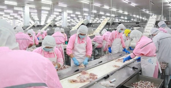 成都股票配资公司 博兴: 肉禽加工特色集群引领产业高质量发展